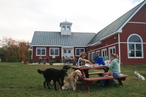 PC Winery picnic area