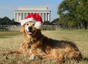 DC holiday greetings