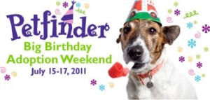 big-birthday-adoption-weekend2