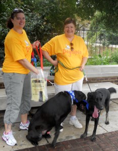 Dogma walkers with Labs
