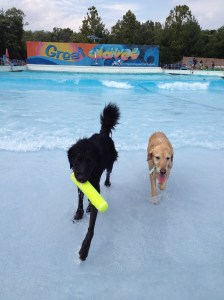 Sundae at Great Waves