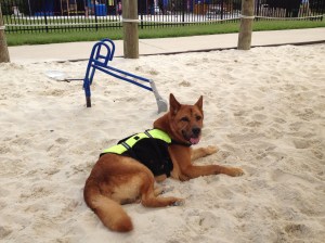 relaxing in the sand