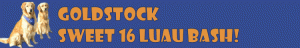 goldstock_2013_sweet_16