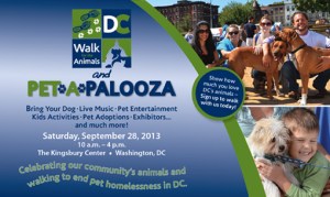 walk for the animals