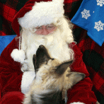 santapaws2