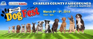 dogfest