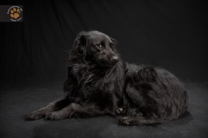 tumblr_n24yv5Miye1trguaeo1_1280