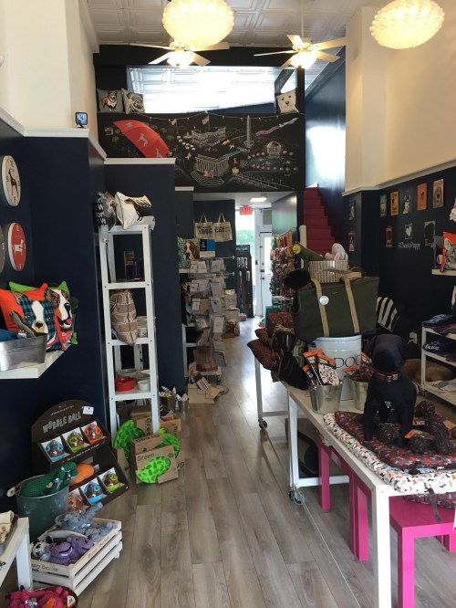 dog boutique shop floor displays