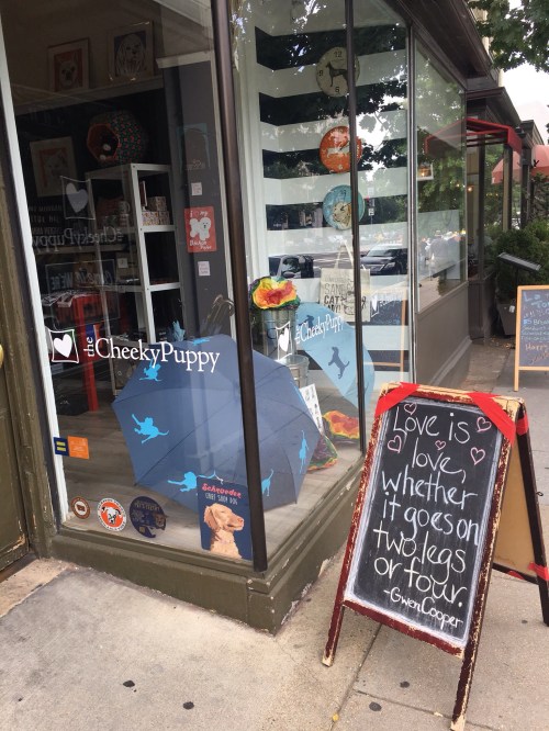 storefront window display with dog toys and chalkboard sign 